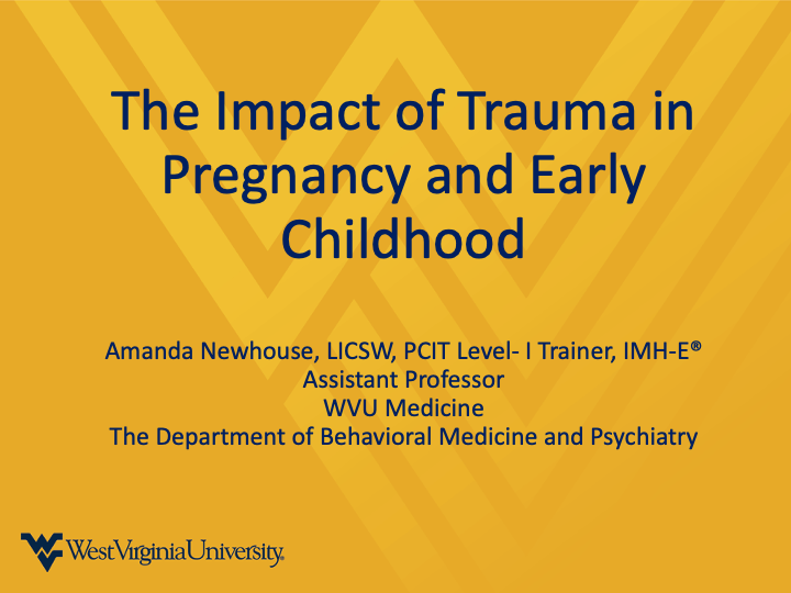 a snapshot of the THE IMPACT OF TRAUMA IN PREGNANCY AND EARLY CHILDHOOD