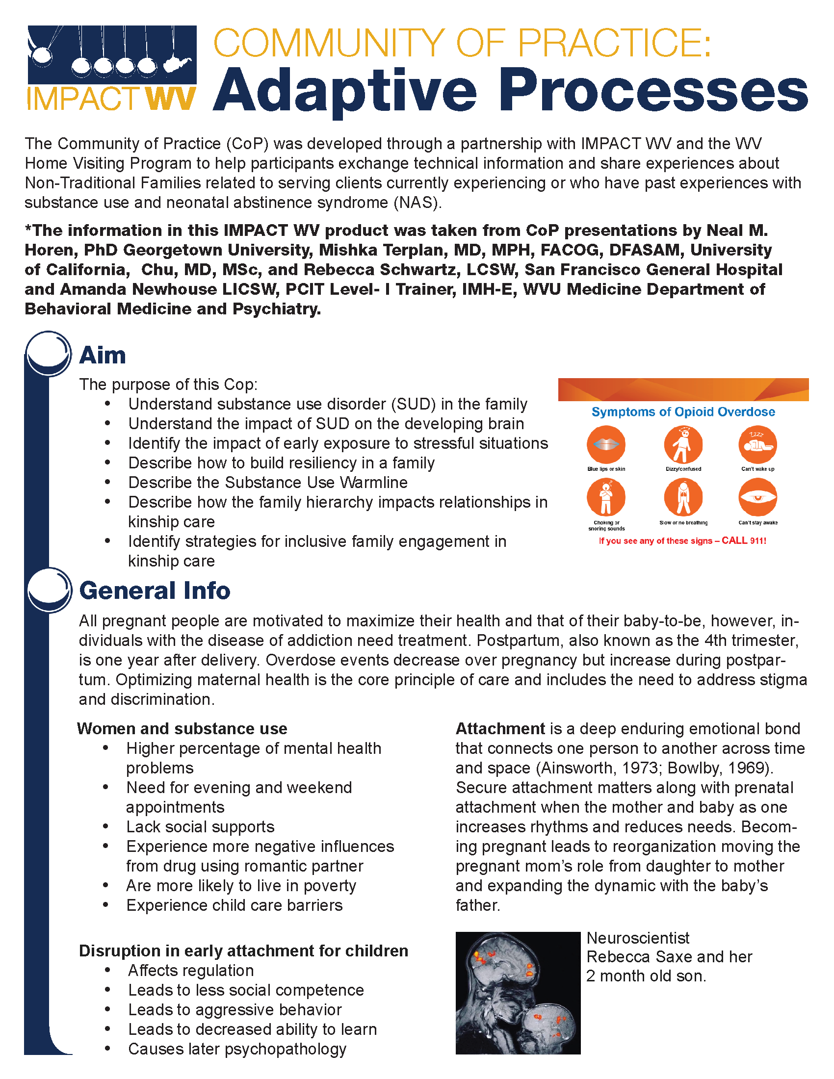a snapshot of the Adaptive Process To Meet High Risk Families’ Needs Summary Sheet (PDF)