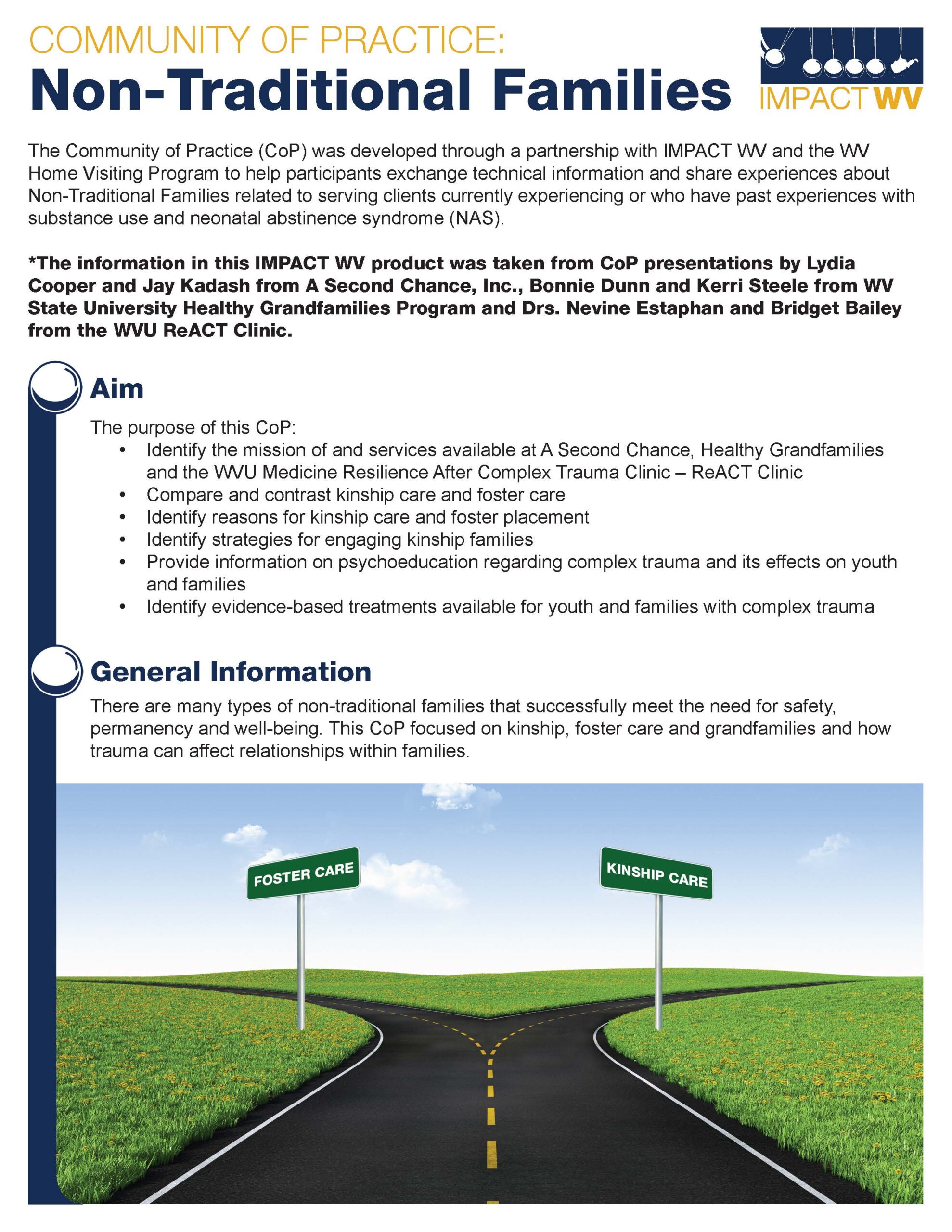 a snapshot of the Community of Practice Non-Traditional Families